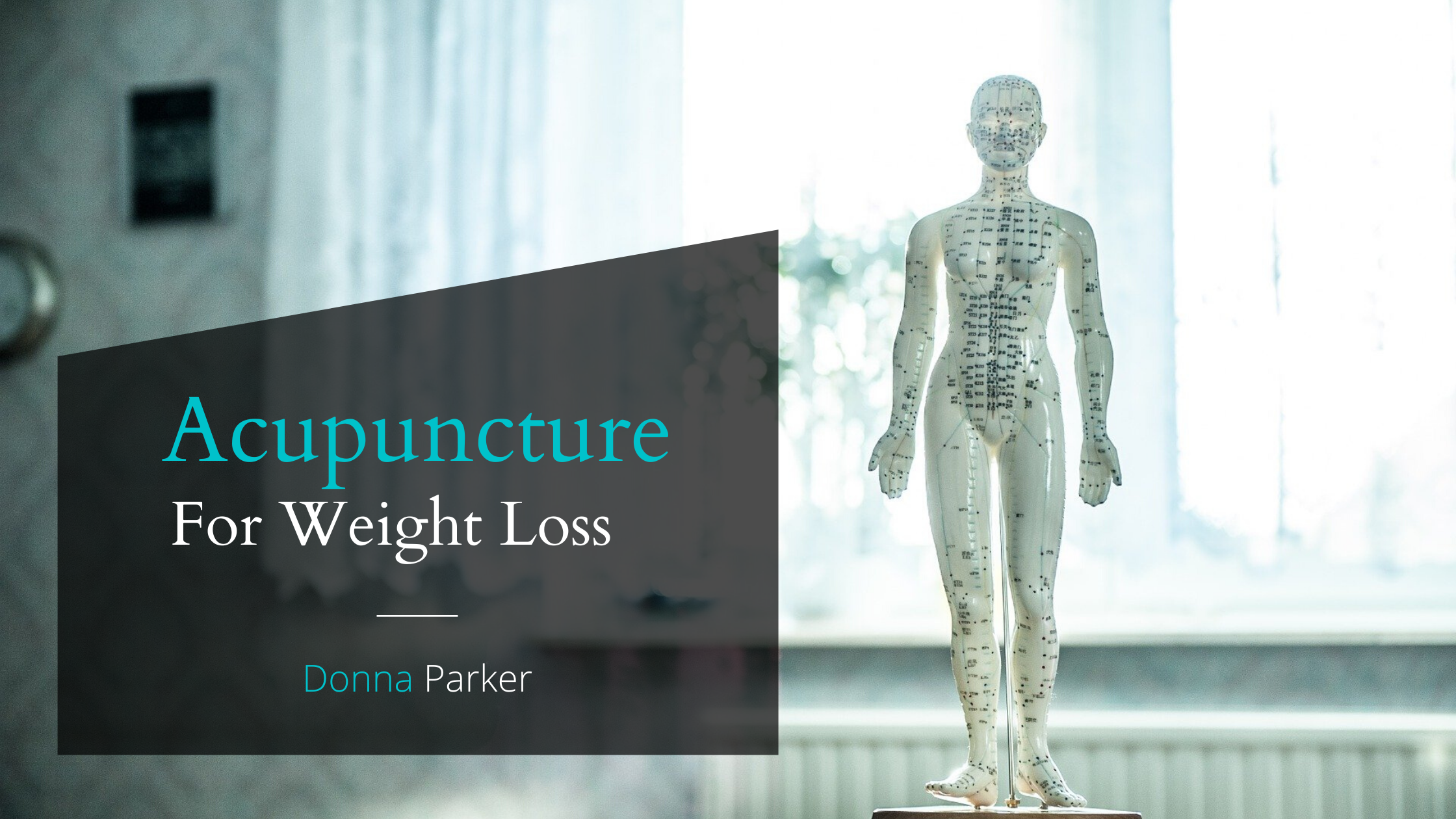 Acupuncture mannequin for weight loss standing near the window.