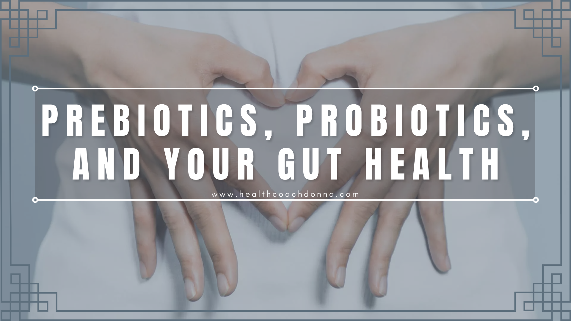 Prebiotics Probiotics and Your Gut Health