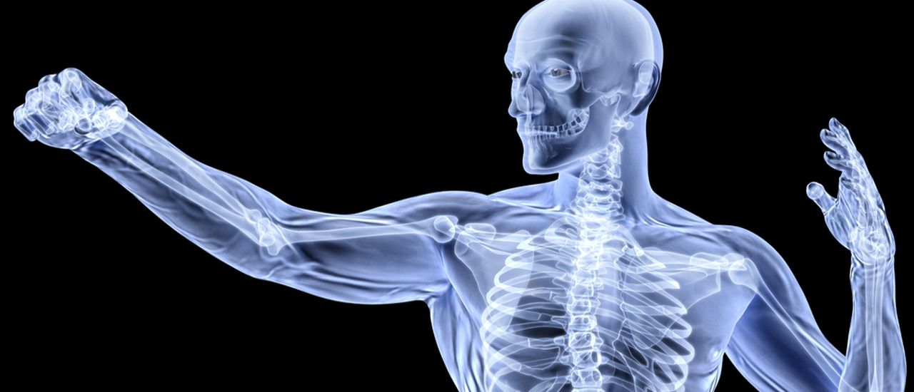 How Healthy are Your Bones?